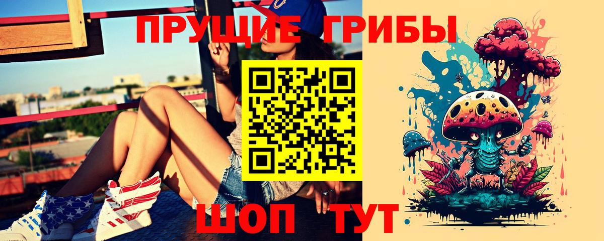Галлюциногенные грибы GOLDEN TEACHER Новосибирск