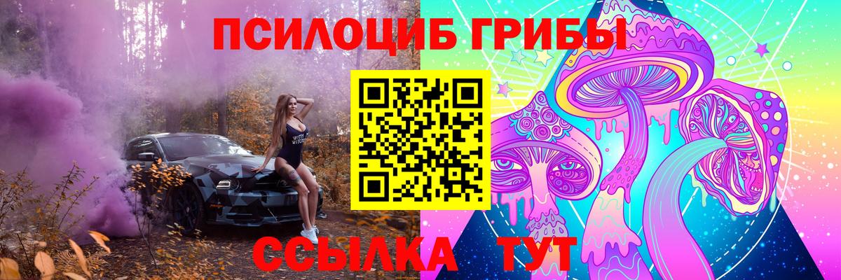 Псилоцибиновые грибы Psilocybe  Галлюциногенные грибы Psilocybine cubensis  Новосибирск  Вход с VPN 